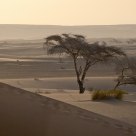 Le Lever de Dunes